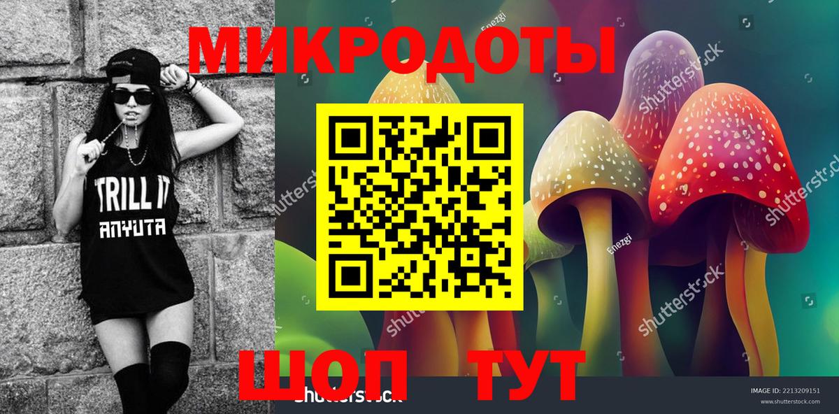 Псилоцибиновые грибы Cubensis Ростов Великий