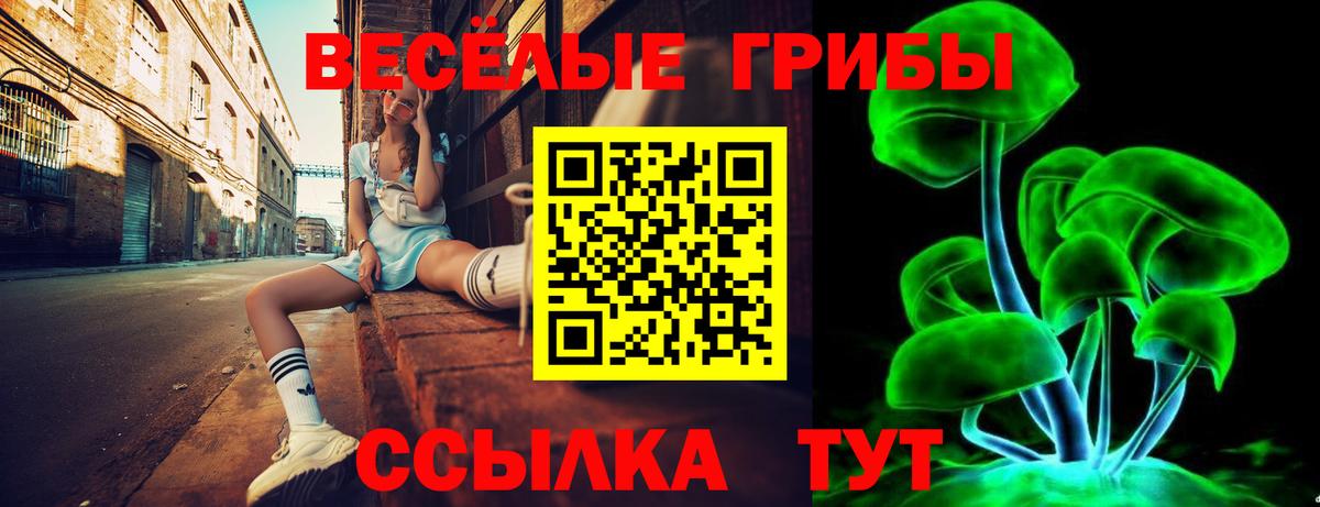 Ростов Великий  Псилоцибиновые грибы MAGIC MUSHROOMS  Вход с VPN 