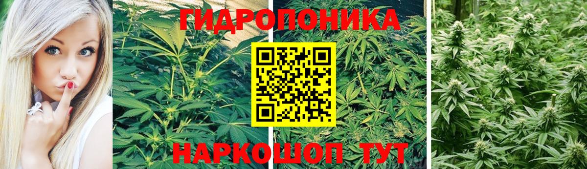 Бошки Шишки MAZAR  Бошки Шишки MAZAR  Вход с VPN  Ростов Великий 